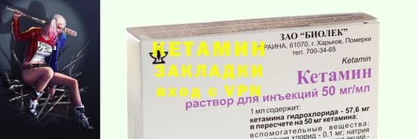 шишки Богородицк